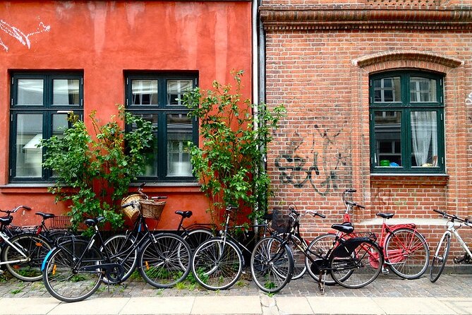 Biking tour -Copenhagen Small Group, max 10 people - Amalienborg and Rosenborg Castle: royal power in two different moods