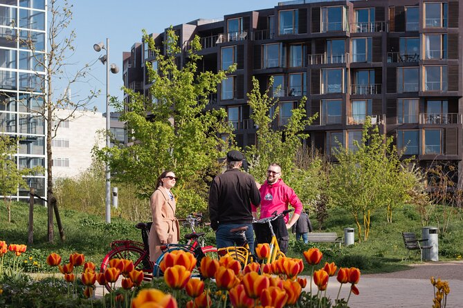 Copenhagen Architecture and Sustainability Tour with local Guide - Stop 3 and 5: Havnebadet Islands Brygge and DR Koncerthuset