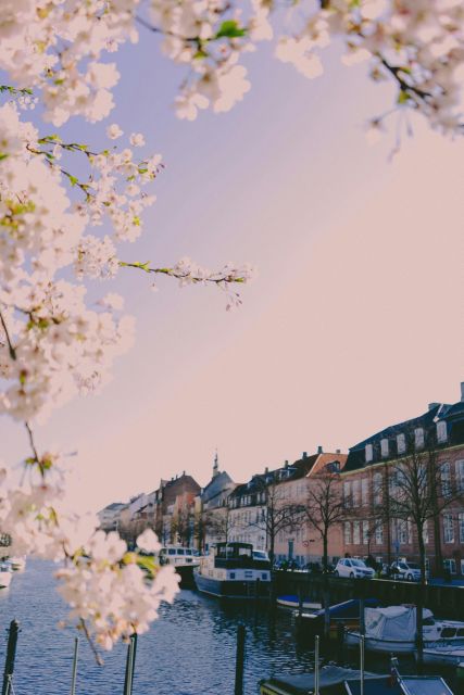 Copenhagen: Danish-Jewish History Tour - Key highlights you’ll notice right away