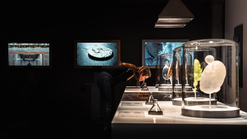 Copenhagen: Home of Carlsberg Experience Entry Ticket - Carlsberg Bar and the Option to Taste More