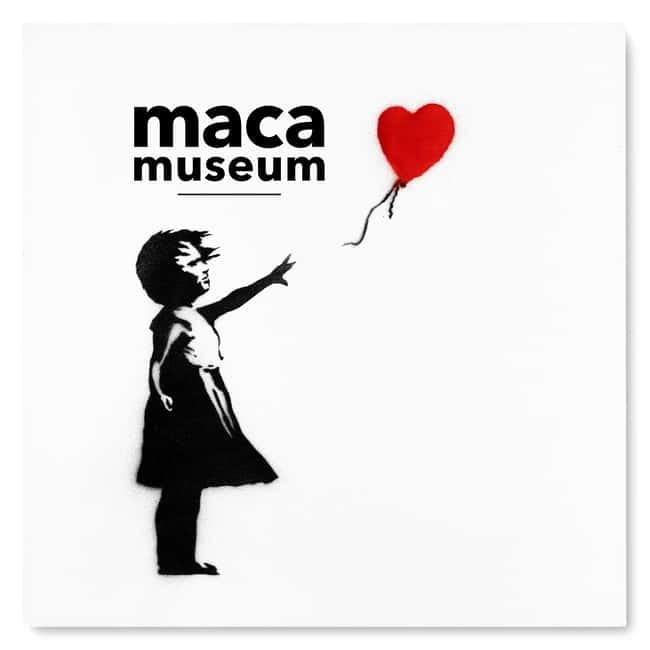 Copenhagen: MACA Art Museum Entry Ticket - What your entry ticket includes (and what it doesn’t)