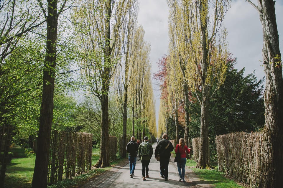 Copenhagen: Modern City Food Tour - Group size and your comfort: conversation without chaos