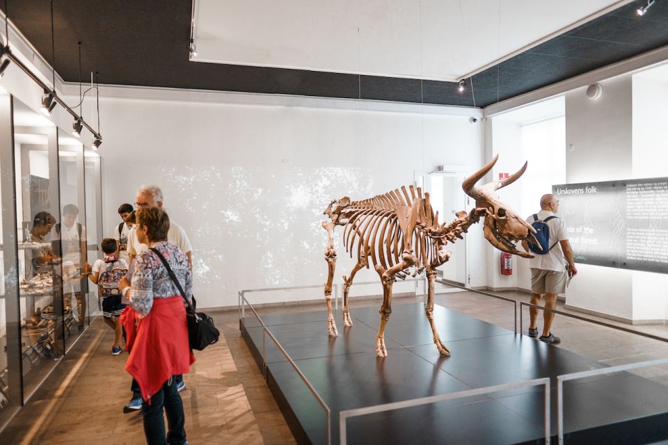 Copenhagen: National Museum of Denmark Entry Ticket - National Museum of Denmark: what you’re walking into
