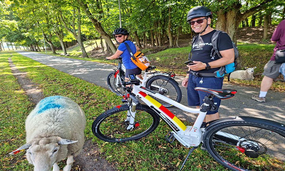Copenhagen: Private Forgotten Giants E-Bike Treasure Hunt - Glostrup: the 50-minute clue hunt section where you’ll feel the rhythm