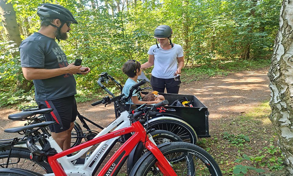 Copenhagen: Private Forgotten Giants E-Bike Treasure Hunt - Høje-Taastrup: the longest stretch (80 minutes) where the scenery payoff hits