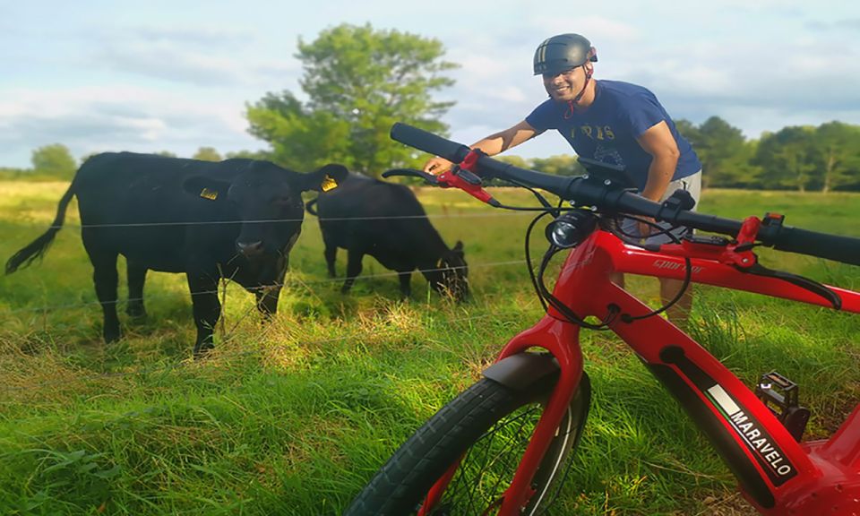 Copenhagen: Private Forgotten Giants E-Bike Treasure Hunt - Price and value: is $213 per person fair for 210 minutes?