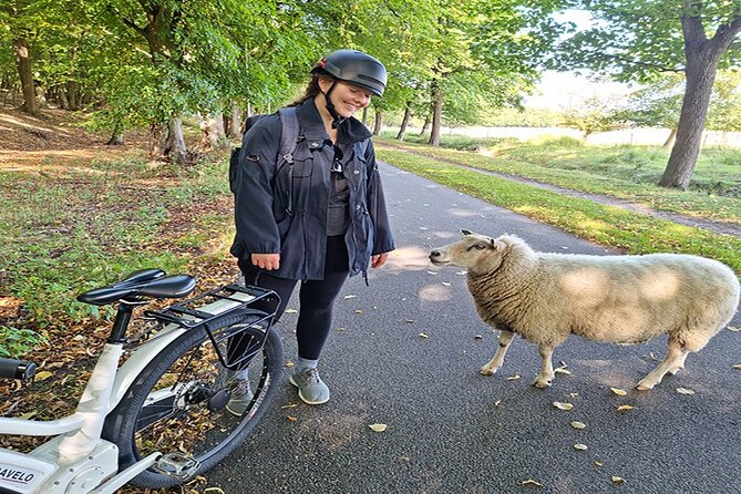 E-biking Northern Forgotten Giants' s Adventure - Why Dambo’s recycling art works so well on a bike