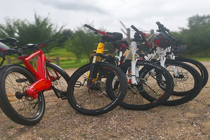 E-biking Northern Forgotten Giants' s Adventure - Guides matter: what a private setup changes (and who you might meet)