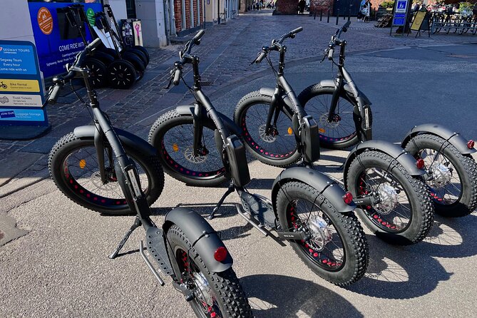 E-Scooter "Stand Up Kick Bike" 2 Hour Guided Copenhagen Tour - Copenhagen on two wheels: why this kick-bike format works
