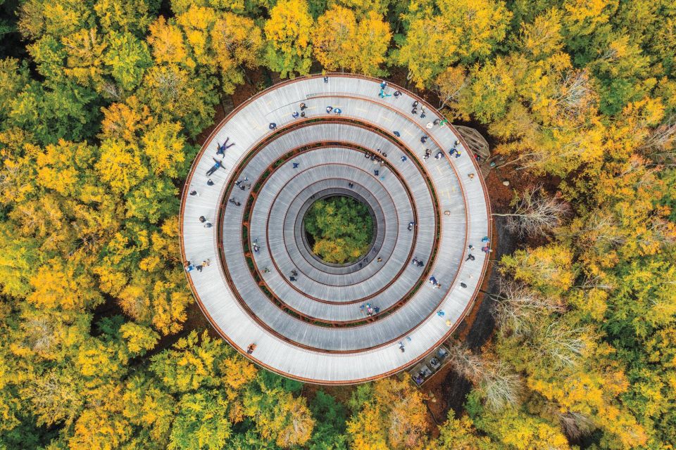From Copenhagen: Round-Trip to Møns Klint and Forest Tower - How the Copenhagen-to-Møn Day Trip Actually Feels