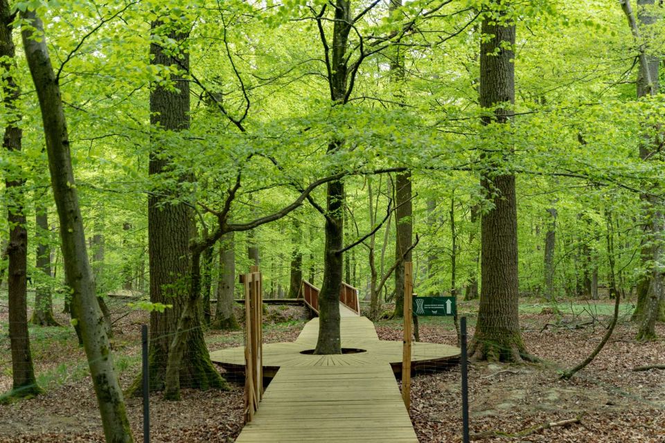 From Copenhagen: Round-Trip to Møns Klint and Forest Tower - What You Actually Get for About $112 (and What Costs Extra)