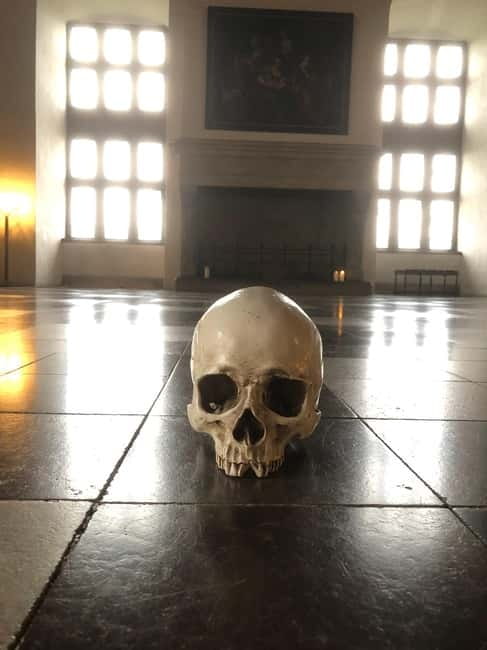 Full-Day Tour; Castle, Palace, Cathedral and Viking Ships - Frederiksborg Palace in Hillerød: your 2-hour Renaissance window