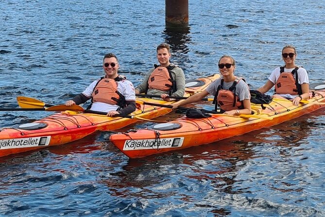 Kayak Tour in Copenhagen Harbor in May and September - Why kayaking Copenhagen Harbor beats walking tours