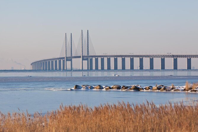 Malmö Full Day Private Trip, Sightseeing Tour & Lunch Option - Key highlights to consider