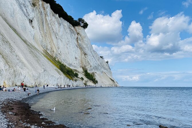 Møns klint and The Forest tower - A day tour from Copenhagen - Key points before you go